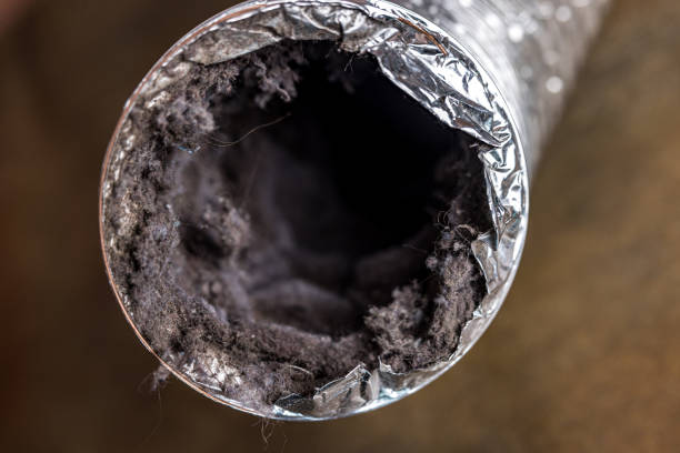 Best Air Duct Cleaning Company Near Me  in West Haven, CT