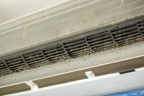 Best Air Duct Cleaning Near Me  in West Haven, CT